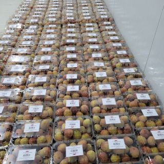 Vải thiều Tươi Lục Ngạn
