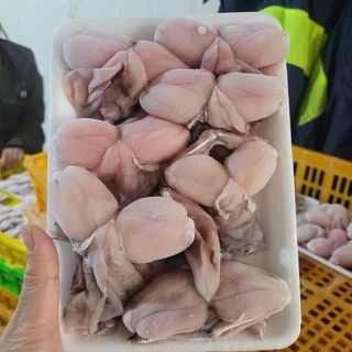 Đùi Ếch Đủ Kg