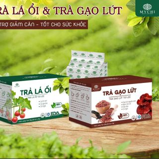 Tìm đối tác kinh doanh trà ổi , trà gạo lứt