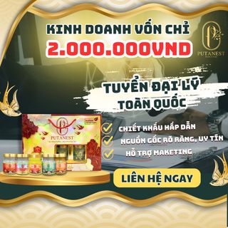 VIỆC GÌ KHÓ, CÓ PUTANEST LO