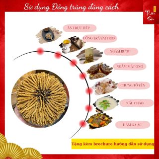 Đông trùng hạ thảo khô nguyên con Tây Tạng, Đông trùng hạ thảo khô chính hãng loại hộp quà cao cấp 5g