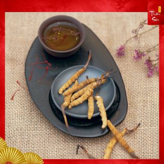 Đông trùng hạ thảo khô nguyên con Tây Tạng, Đông trùng hạ thảo khô chính hãng loại hộp quà cao cấp 5g