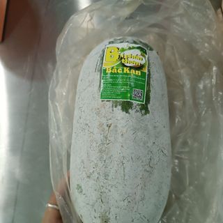 Bí Thơm Bắc Kạn, Bí Phấn, Bí xanh thơm