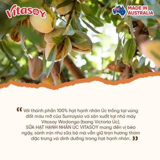 Sữa hạt hạnh nhân Vitasoy Almond Milky hộp 1L