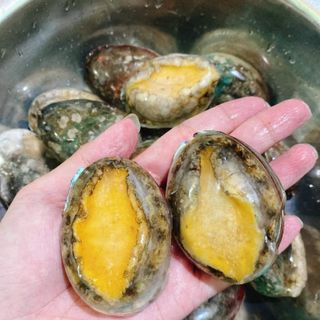 Bào NGư Hàn Quốc NET 6 _KHO CHUYÊN SỈ GIÁ TỐT size 18, vỉ 500gr