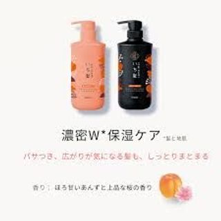 Bộ gội xả Ichikami cam đen_6