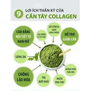 Bột cần tây sấy lạnh nguyên chất (500g)  tiêu hao m.ỡ thừa, cải thiện và duy tri vóc dáng CTB748 - BECHIP