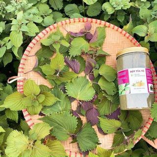 Bột tía tô sấy lạnh nguyên chất 100%, bột lá tía tô nguyên chất, thơm ngon, xịn mịn hủ 500g - CTB747