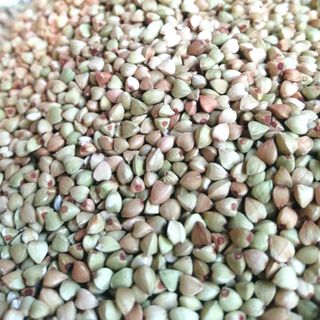 Nhân kiều mạch dùng làm bánh, sữa hạt, nấu ăn dinh dưỡng