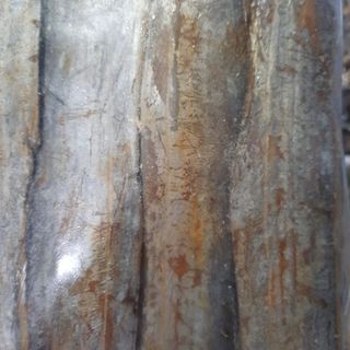 Cá hố muối sư một nắng 500gr - đặc sản Phú Yên, muối mặn, thịt dày, thơm, ngon, chế biến nhiều món ăn