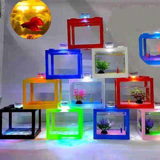 Bể Cá Mini Để Bàn