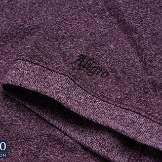 ÁO POLO NAM NGẮN TAY CHẤT LIỆU COTTON CỔ PHỐI NĂNG ĐỘNG TRẺ TRUNG ALGPLO49 - ALIGRO