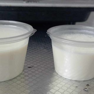 Panna cotta
