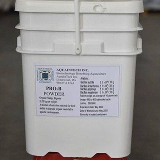 Vi Sinh Bột PRO-B POWDER - Men vi sinh xử lý nước, xử lý đáy ao – Hiệu quả cao