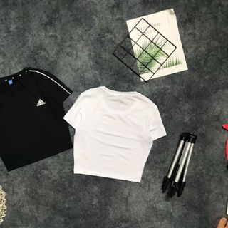 Croptop nữ MLXLXXL - 2222 Có tách ri, áo thể thao nữ