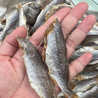 Khô cá đù 500gr, ít xương, dày thịt, thơm ngon, bỗ dưỡng cho mỗi bữa cơm, đảm bảo an toàn thực phẩm