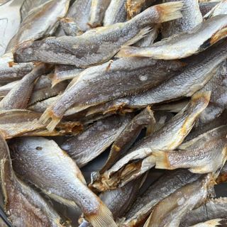 Khô cá đù 500gr, ít xương, dày thịt, thơm ngon, bỗ dưỡng cho mỗi bữa cơm, đảm bảo an toàn thực phẩm giá sỉ