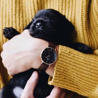ĐỒNG HỒ NỮ CAO CẤP D.W BLACK PETITE DÂY DA