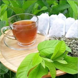 TRÀ LÁ ỔI GIẢM CÂN TÚI LỌC, BAY XẸP BỤNG, THON GỌN DÁNG, SET 10 TÚI CTB753 - BECHIP
