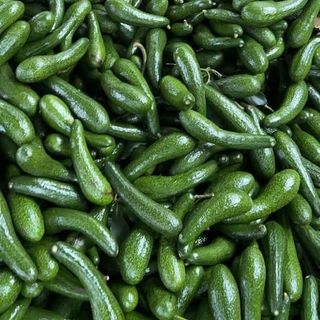 Bơ 034 Lâm Đồng ( trái : 450gr - 700gr )