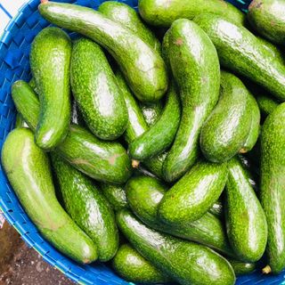 Bơ 034 Lâm Đồng ( trái : 450gr - 700gr )