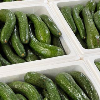 Bơ 034 Lâm Đông dẻo ngon (2,3 trái/kg )