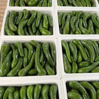 Bơ 034 Lâm Đông dẻo ngon (2,3 trái/kg )