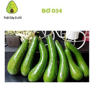 Bơ 034 Lâm Đồng (4,5 trái /1kg )
