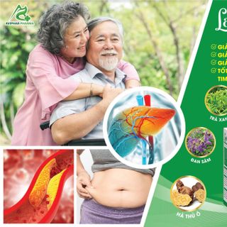 VIÊN UỐNG HỔ TRỢ GIẢM MỠ TRONG MÁU LADY SLIM HỘP 30 VIÊN - DƯỢC PHẨM AVIPHAR
