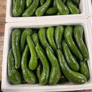 Bơ 034 Lâm Đồng (2,3 trái /1kg )