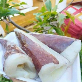 Đuôi Mực Đại Dương