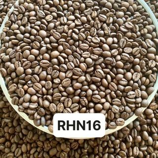 Cà phê rang mộc Robusta Honey s16
