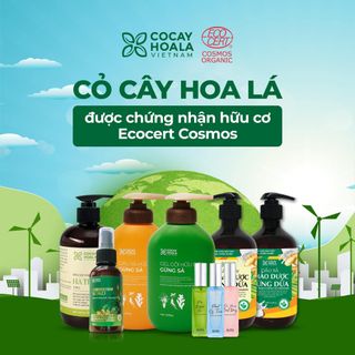 Tìm CTV bán dầu gội thảo dược của Hãng Cỏ Cây Hoa Lá - Cam kết giá tốt