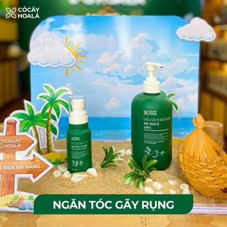 Tìm CTV bán dầu gội thảo dược của Hãng Cỏ Cây Hoa Lá - Cam kết giá tốt