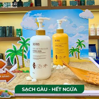 Tìm CTV bán dầu gội thảo dược của Hãng Cỏ Cây Hoa Lá - Cam kết giá tốt