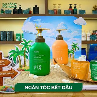 Tìm CTV bán dầu gội thảo dược của Hãng Cỏ Cây Hoa Lá - Cam kết giá tốt
