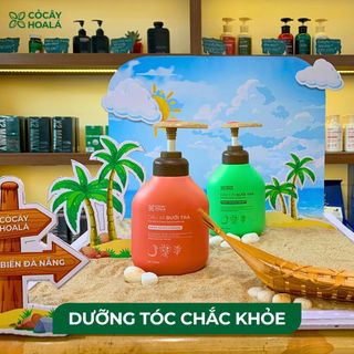 Tìm CTV bán dầu gội thảo dược của Hãng Cỏ Cây Hoa Lá - Cam kết giá tốt