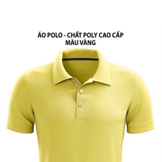 Áo polo