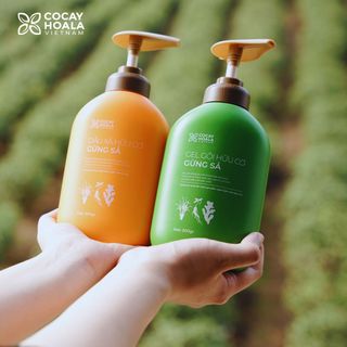 Cặp Gội Gừng Sả Hữu Cơ Cỏ Cây Hoa Lá 500ml