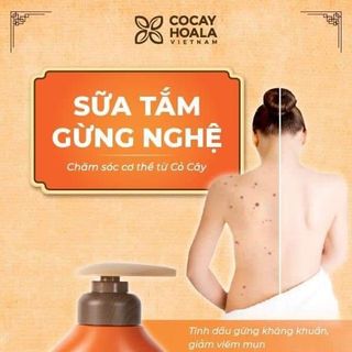 Sữa Tắm Gừng Nghệ Hữu Cơ Cỏ Cây Hoa Lá 500g