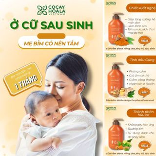 Sữa Tắm Gừng Nghệ Hữu Cơ Cỏ Cây Hoa Lá 500g
