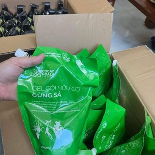 Túi Dầu Gội Hữu Cơ Gừng Sả Cỏ Cây Hoa Lá - Ngăn dầu bết tóc và giảm gàu ngứa1000ml