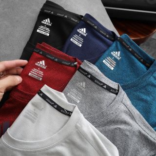 Tshirt vải thun poly kim cương dày dặn Size lxl2xl3xl/2222, áo thể thao nam