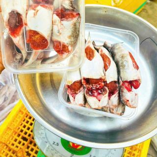CÁ CHỐT TRỨNG chuyên sỉ, giá sỉ tốt , kg/2 hộp