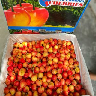 Cherry vàng Mỹ thùng 4kg