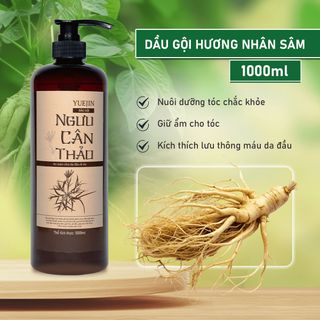 Dầu gội bồ kết, dầu gội thảo dược phụ hồi tóc, ngăn ngừa gãy rụng - Ngưu Cân Thảo Chai 1000ml