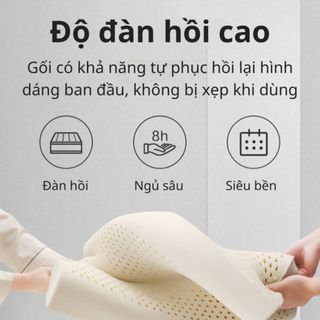 Gối cao su non KAW chính hãng thoáng khí, 2 lớp vỏ gối, kích thước 30x50cm