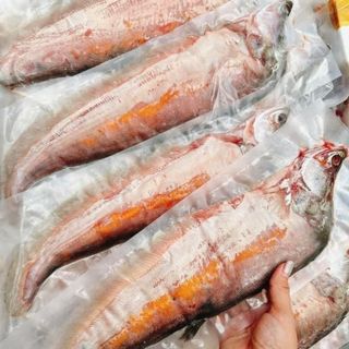 CÁ THÁC LÁC TRỨNG MUỐI KIM SA chuyên sỉ, giá sỉ tốt, SET 4 CON