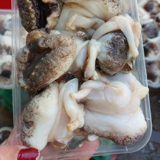 RUỘT ỐC GIẤY - ỐC GIẤM