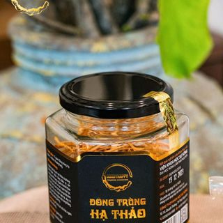 Đông Trùng Hạ Thảo Thượng Hạng CORDYHAPPY